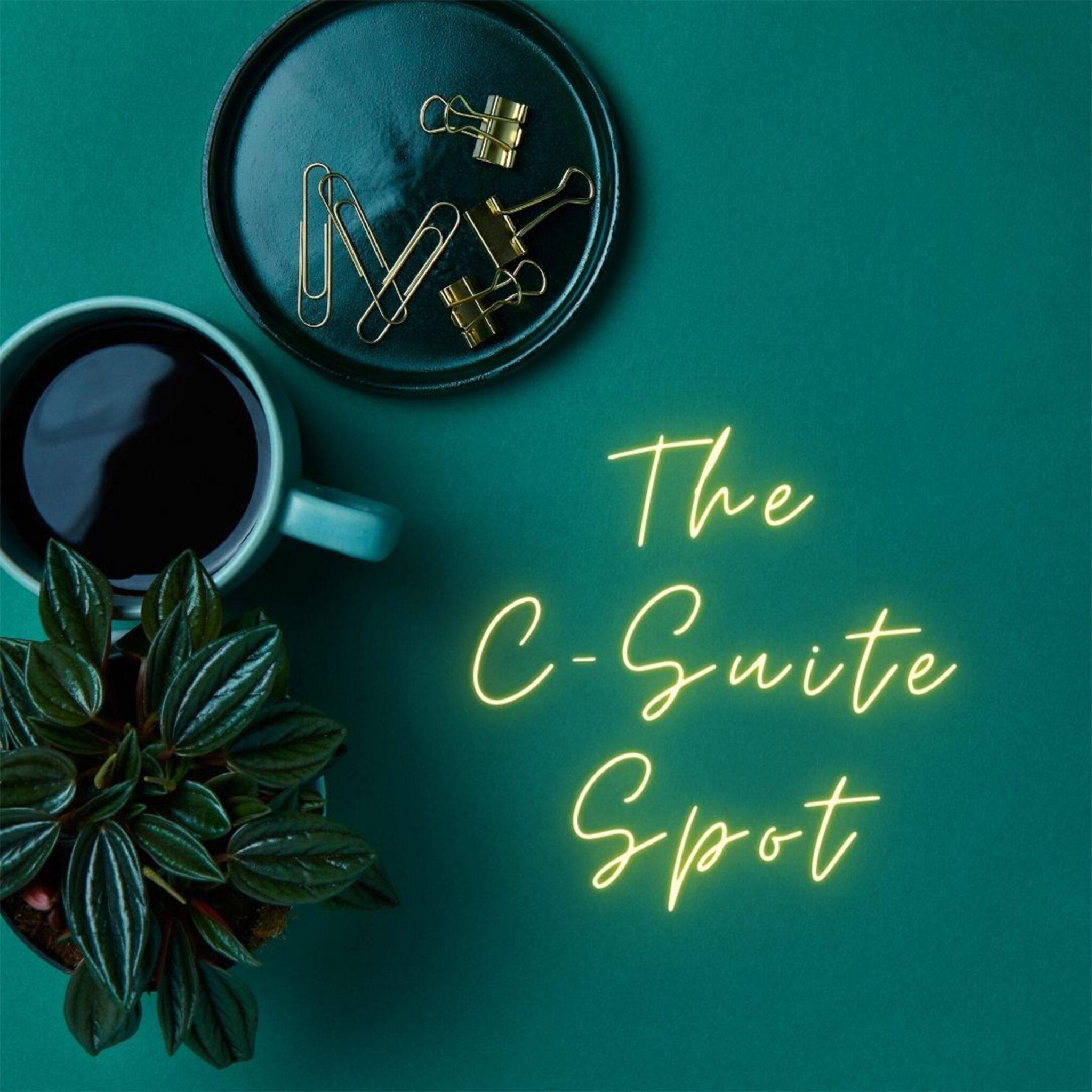 C Suite Spot Podcast Do You Really Have It Under Control Lessons From c-suite-spot-podcast-do-you-really-have-it-under-control-lessons-from